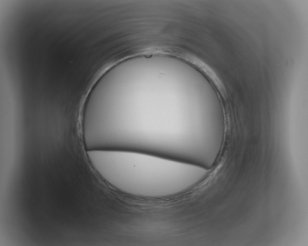 X0000102301097200807251016
