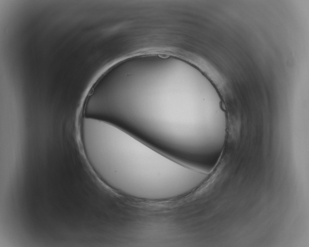 X0000102301102200807251016