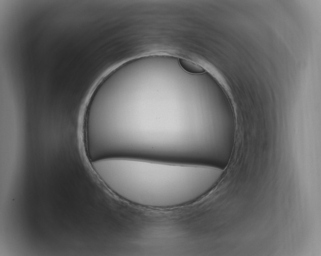 X0000102301104200807251016
