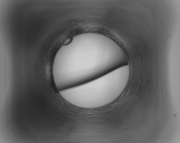 X0000102301108200807251015