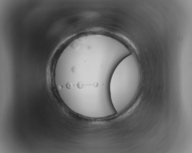 X0000102301117200807251015