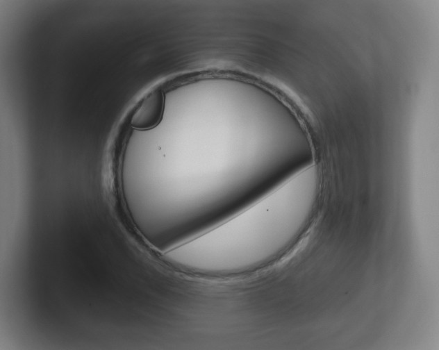 X0000102301118200807251015