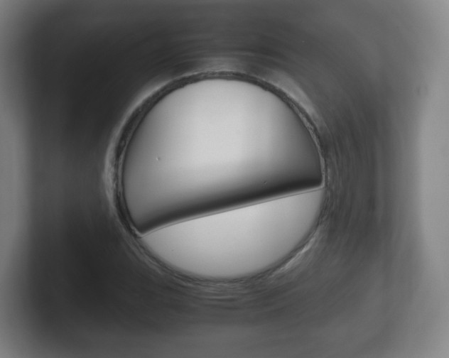 X0000102301119200807251015