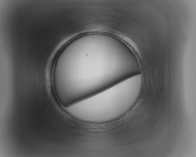 X0000102301120200807251016