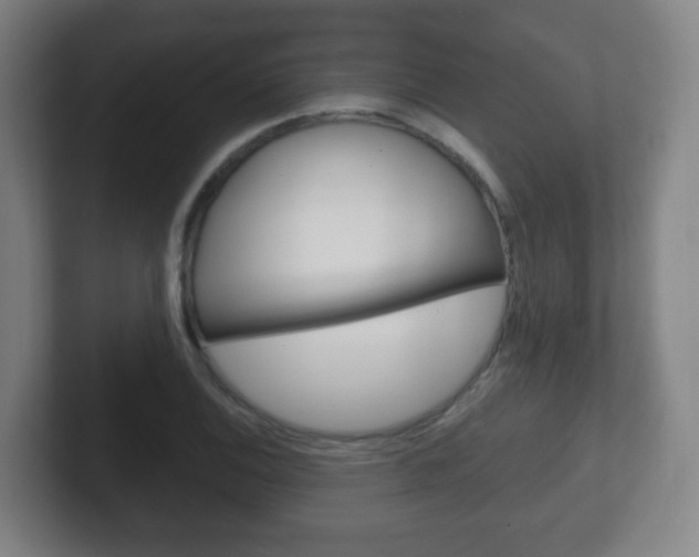 X0000102301124200807251016
