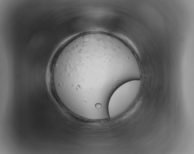 X0000102301125200807251016