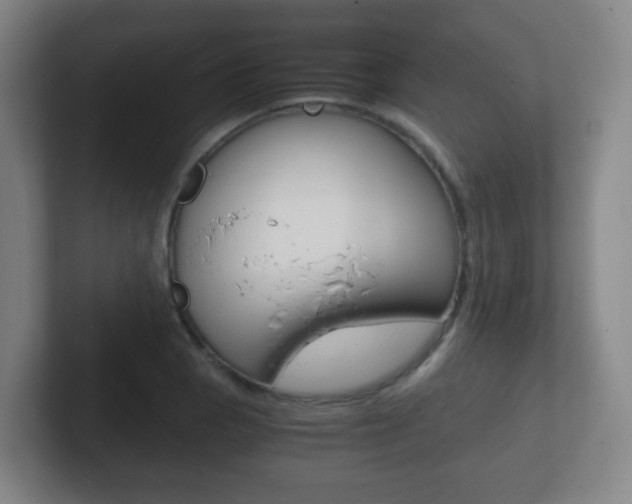 X0000102301129200807251016