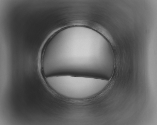 X0000102301132200807251016
