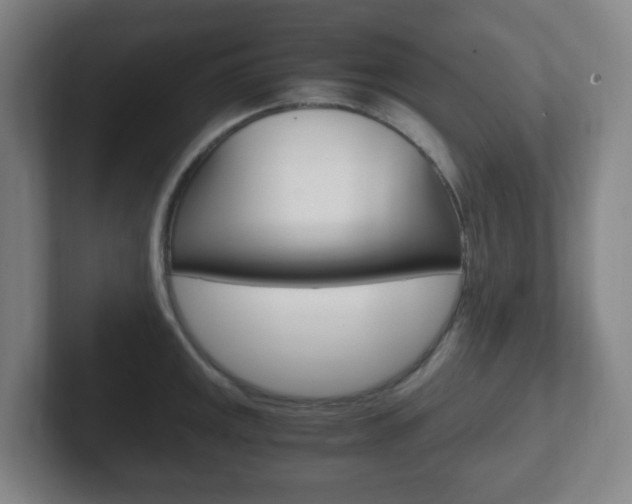 X0000102301141200807251016