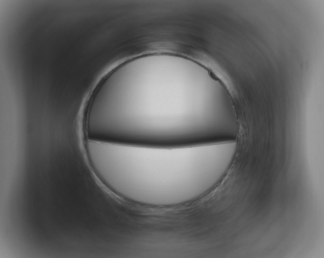 X0000102301143200807251016