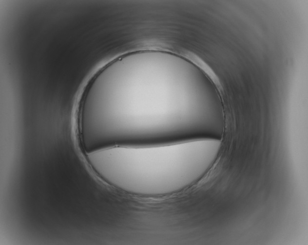 X0000102301144200807251016