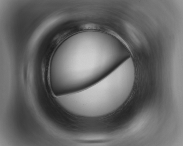 X0000102301151200807251016