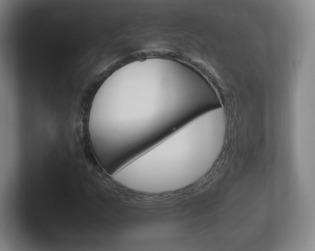 X0000102301159200807251015