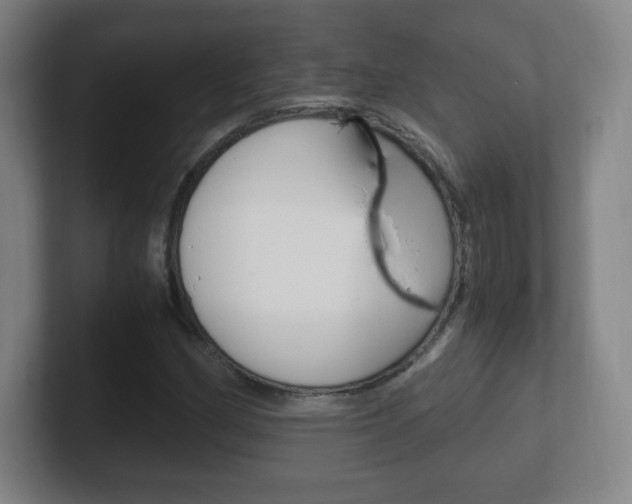 X0000102301162200807251015