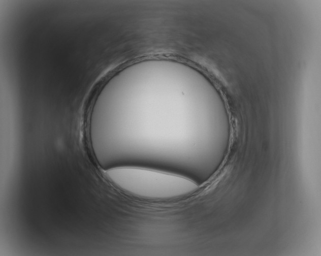 X0000102301165200807251015