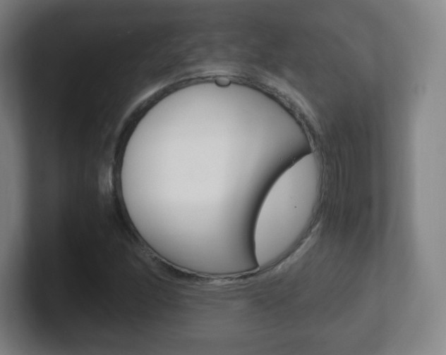 X0000102301166200807251015