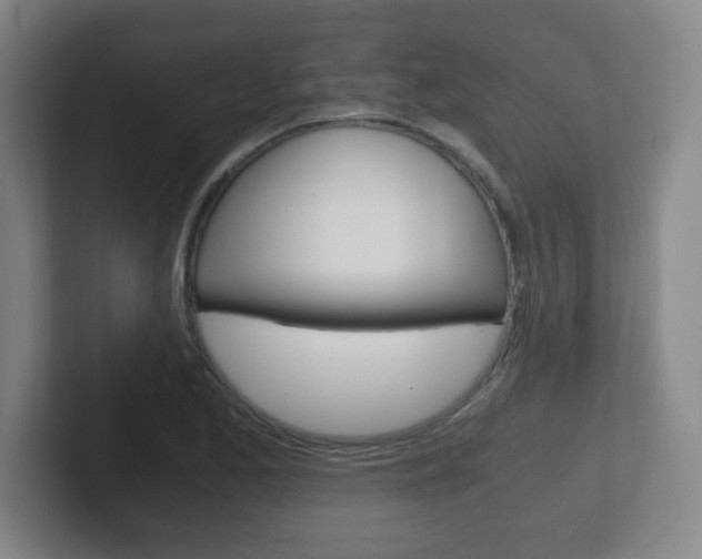 X0000102301173200807251015