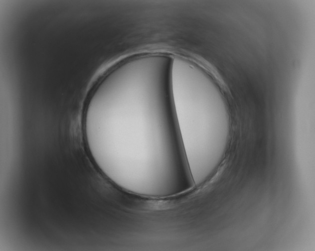 X0000102301176200807251015