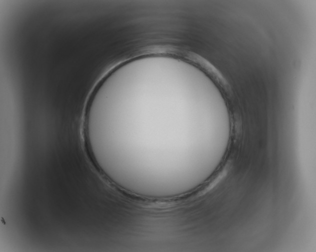 X0000102301178200807251015