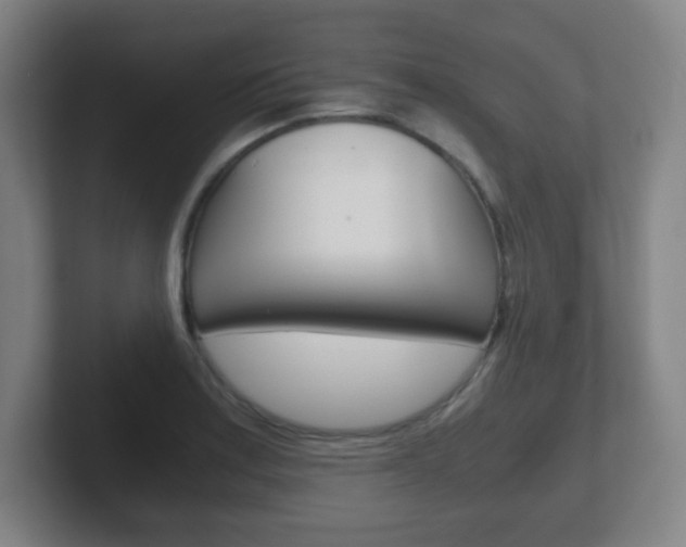 X0000102301179200807251015