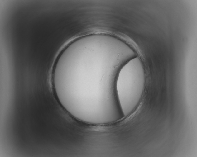 X0000102301182200807251015