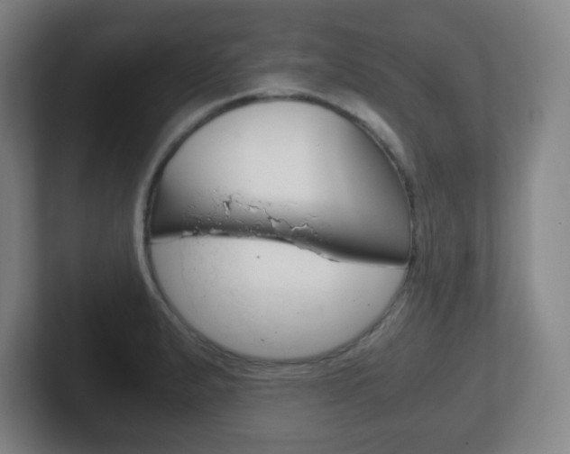 X0000102301183200807251015