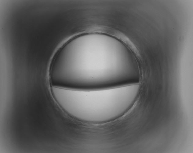 X0000102301184200807251015