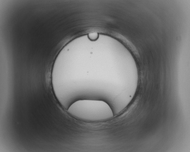 X0000102301185200807251015