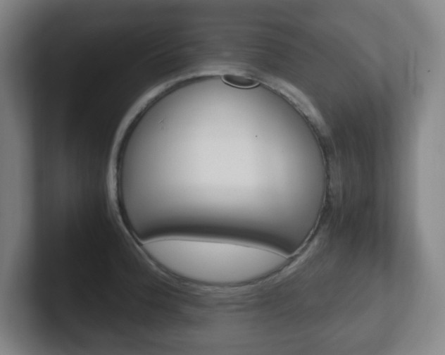 X0000102301188200807251015
