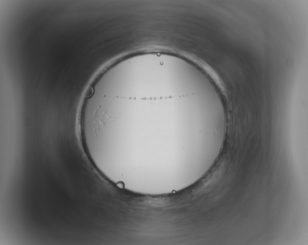 X0000102301191200807251015