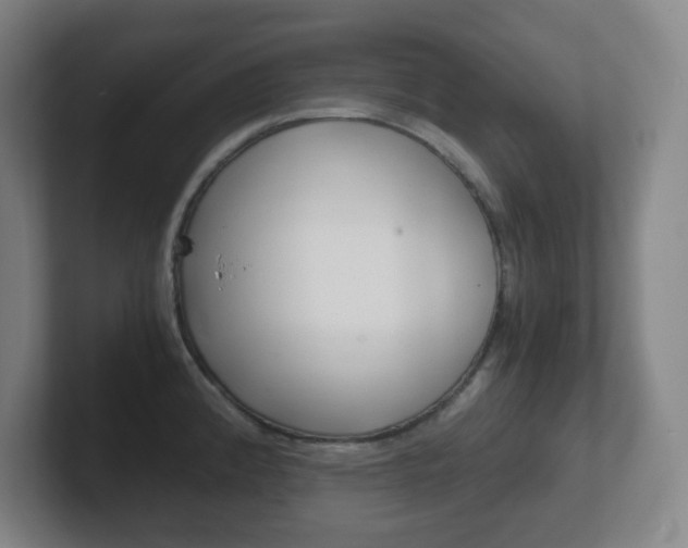 X0000102301192200807251015