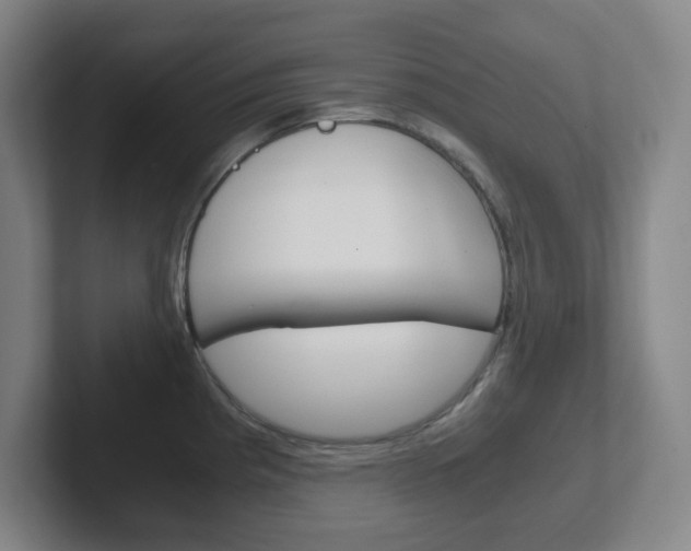 X0000102301193200807251015