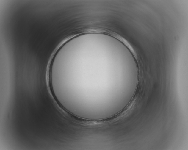 X0000102301195200807251015