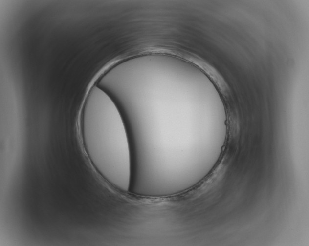 X0000102301198200807251015