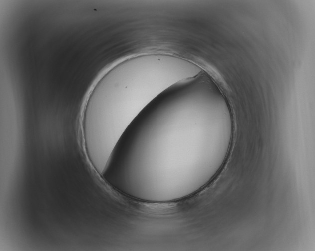 X0000102301200200807251015