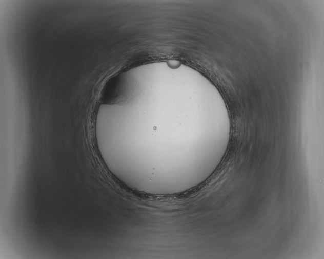 X0000102301201200807251014