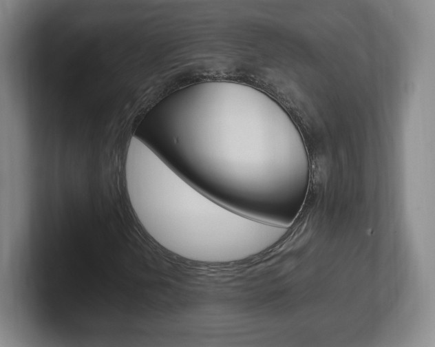 X0000102301202200807251014