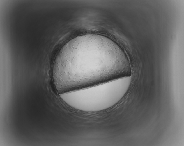 X0000102301205200807251014