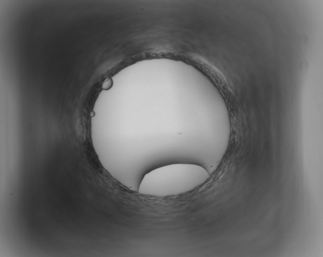 X0000102301207200807251014