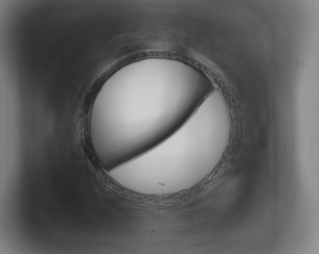 X0000102301208200807251014