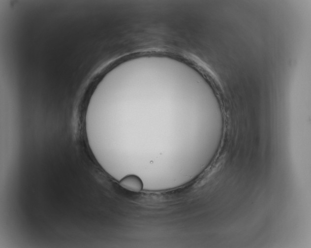 X0000102301215200807251014