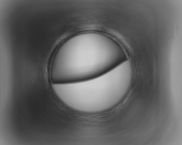 X0000102301218200807251014