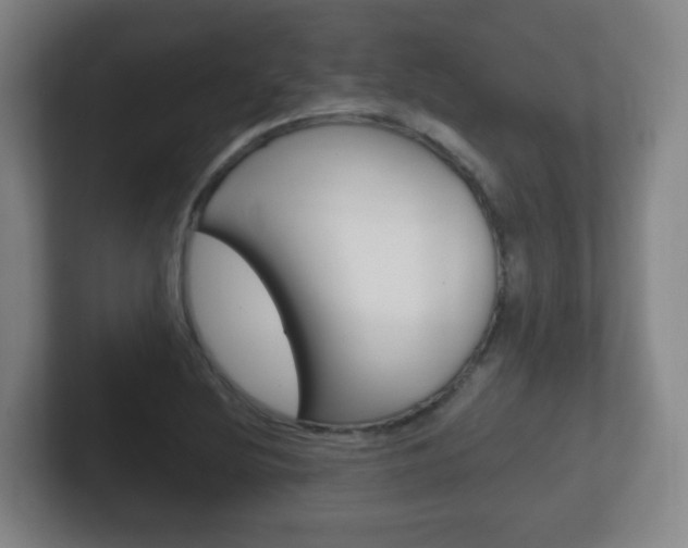 X0000102301220200807251014