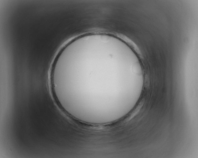 X0000102301231200807251014
