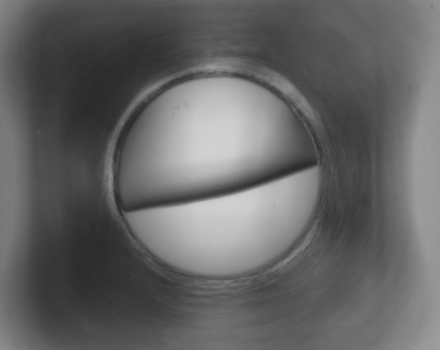 X0000102301232200807251014