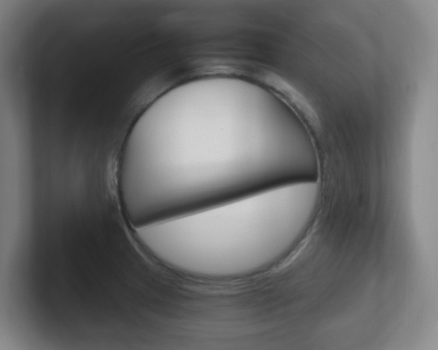X0000102301233200807251014