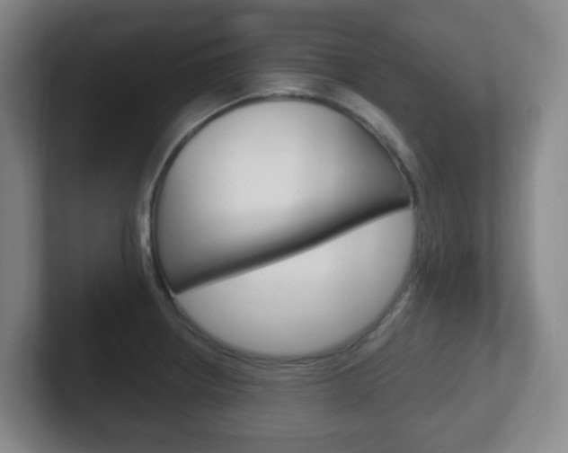 X0000102301234200807251014