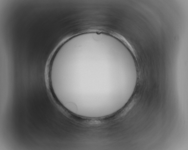 X0000102301235200807251015