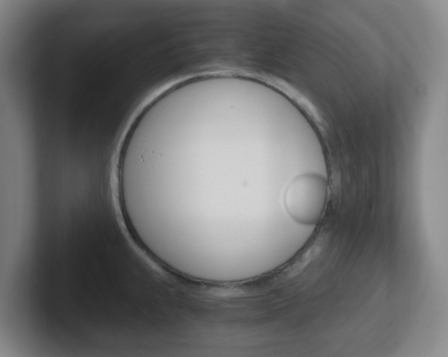 X0000102301239200807251015