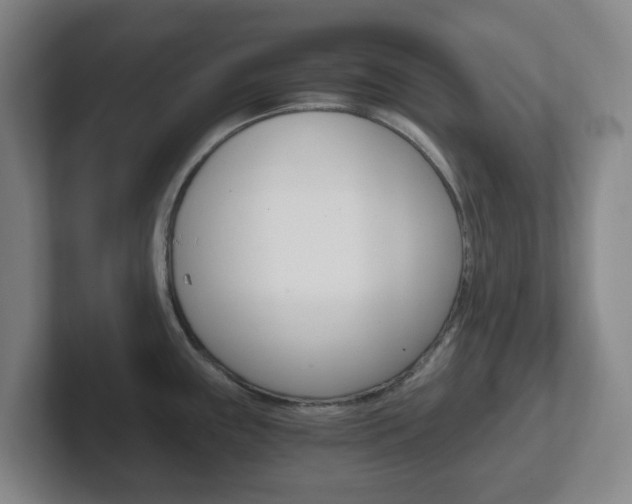 X0000102301243200807251015